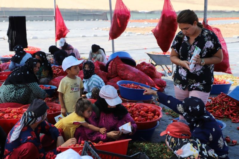 İsot işçilerine ‘güneş çarpması’ uyarısı!