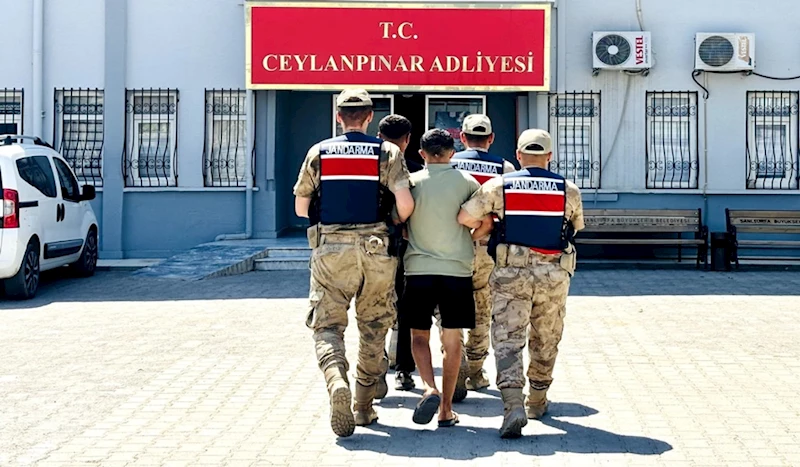 Ceylanpınar’da uyuşturucu operasyonu, 2 gözaltı