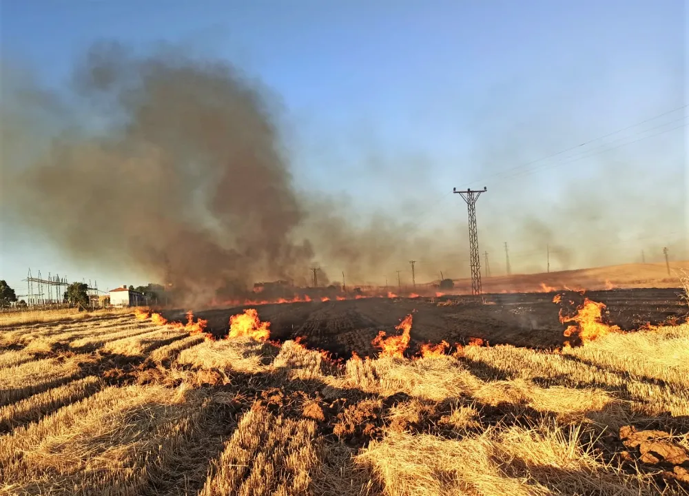 ŞANLIURFA’DA 16 MAHALLE ELEKTRİKSİZ KALDI