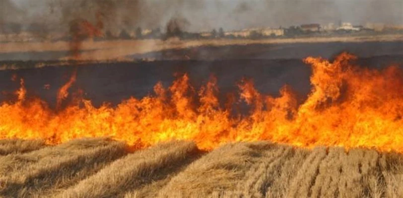 Şanlıurfa Emniyetinden anız yangınlarına karşı uyarı