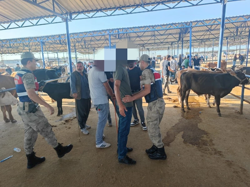 Şanlıurfa’da canlı hayvan pazarında denetim