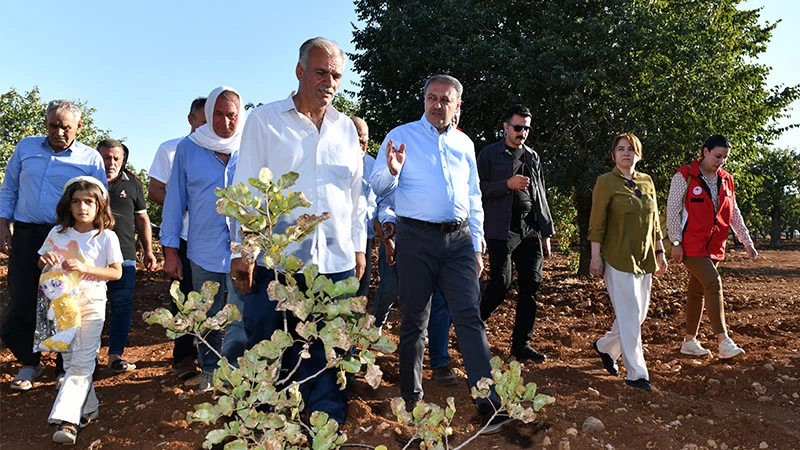 Şanlıurfa tarımsal üretimde de değerlerine sahip çıkıyor