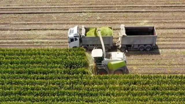 Tarımsal Destek Ödemesi Çiftçilerin Hesaplarına Aktarılıyor