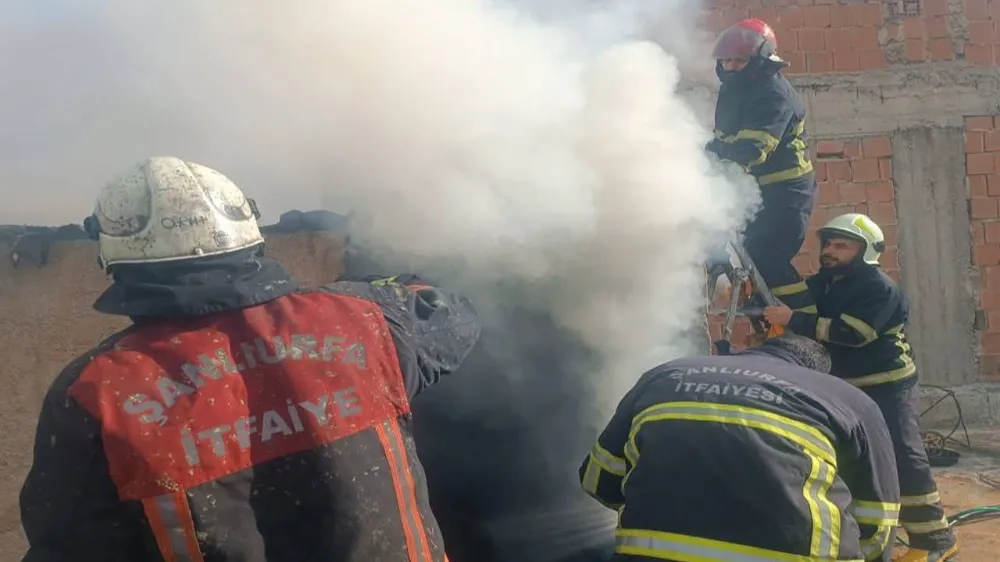 Şanlıurfa’da Yangın Paniği: İtfaiye Müdahalesiyle Söndürüldü