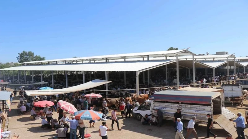 Şanlıurfa’da haftalardır kapalı olan hayvan pazarı yeniden açılıyor