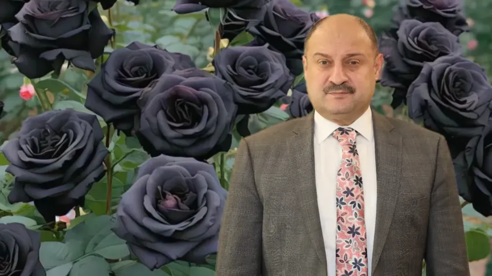 Karagül