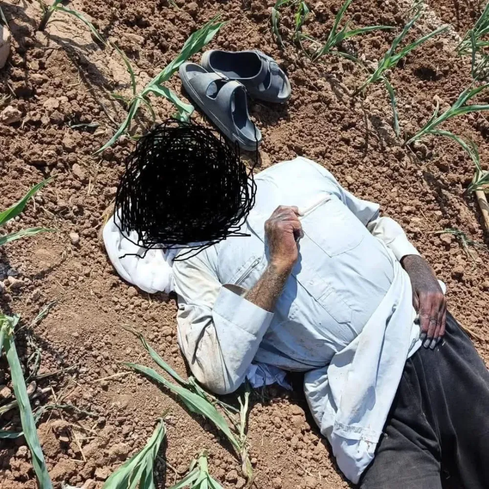 Akçakale’de Mısır Tarlasında Erkek Cesedi Bulundu