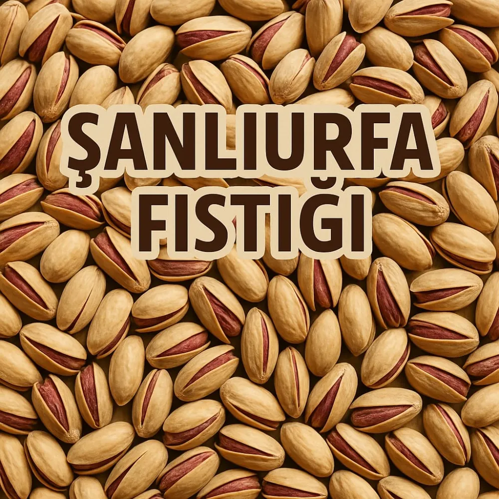 Fıstıkta Büyük Tehlike! Şanlıurfalı Üreticiler Dikkat!