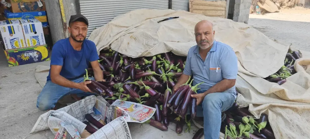 Lezzetiyle Dillere Destan, Sofraların Vazgeçilmezi!