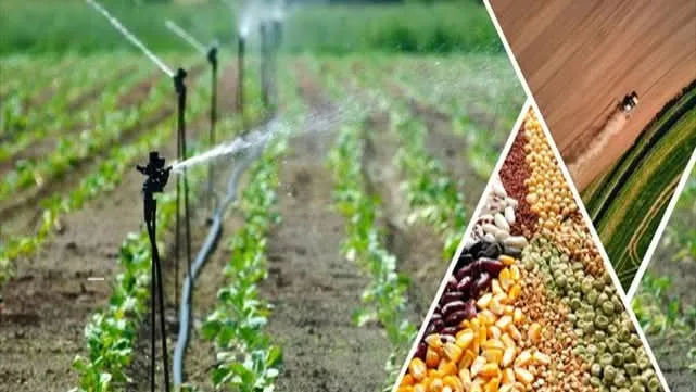 Tarımsal Destekleme Ödemesi Hesaplara Aktarılıyor